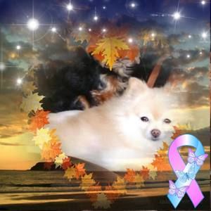 Meet your Posher, Randy